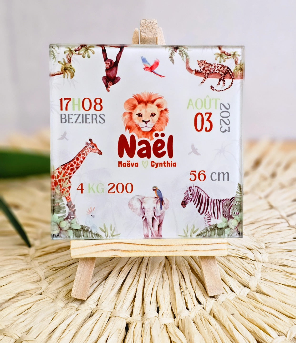 Savane - Chevalet naissance