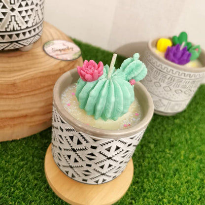 Bougie Eva - Cactus Mignon en Pot de Fleur