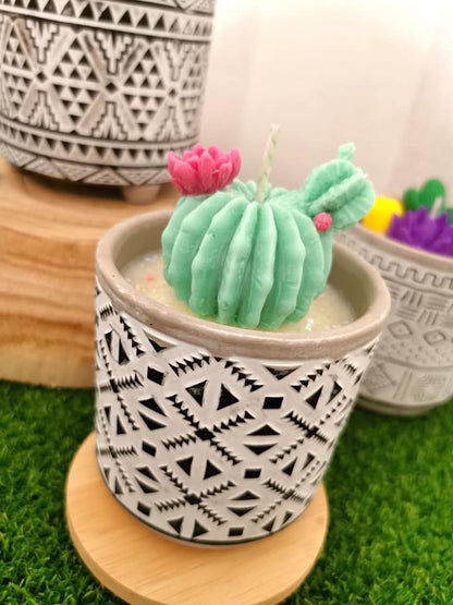 Bougie Eva - Cactus Mignon en Pot de Fleur