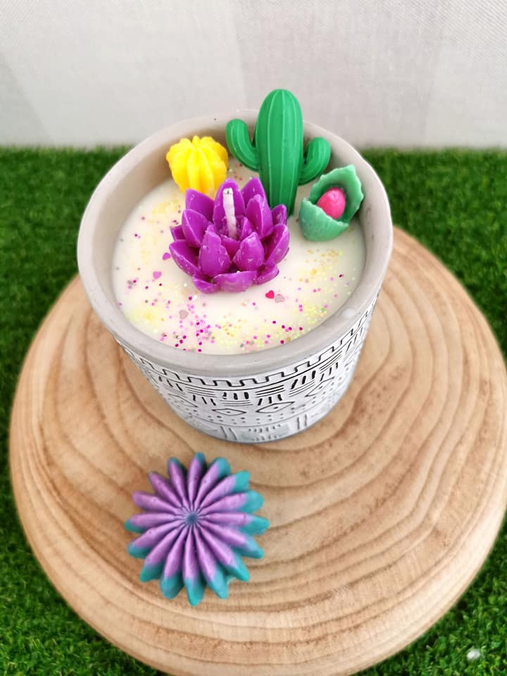 Bougie Plantes Grasses et Cactus en Pot de Fleur